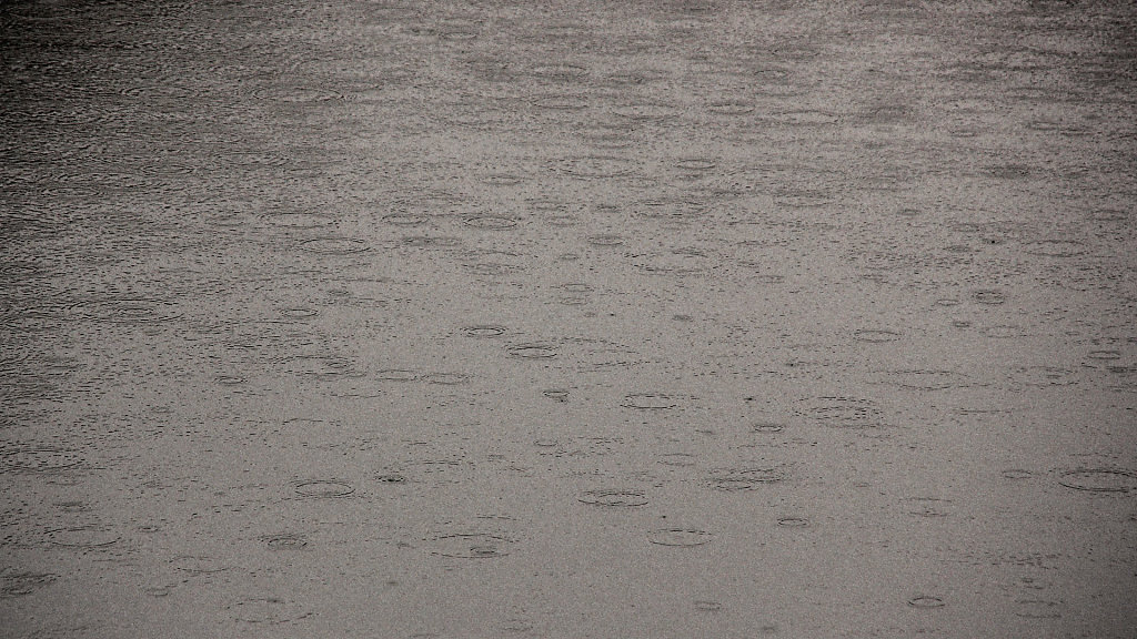 IMG-6138.jpg