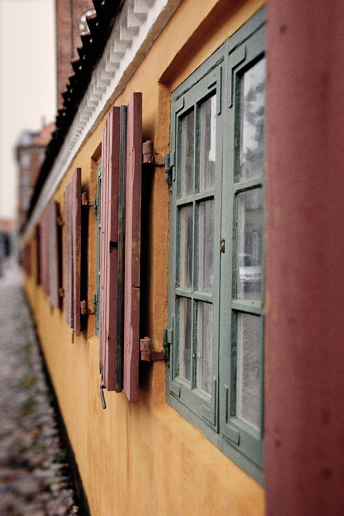 IMG-6201.jpg