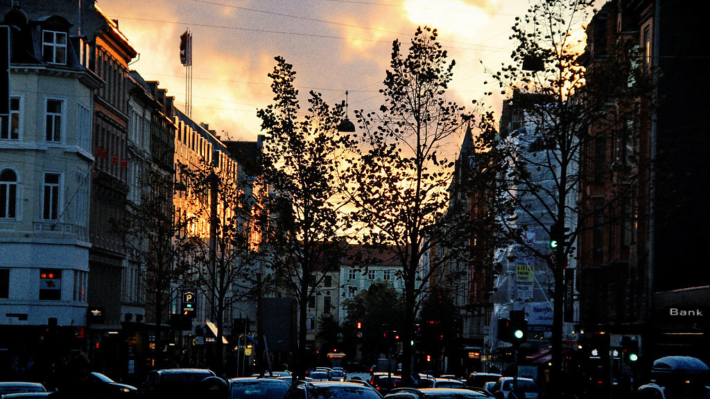 IMG-6312.jpg