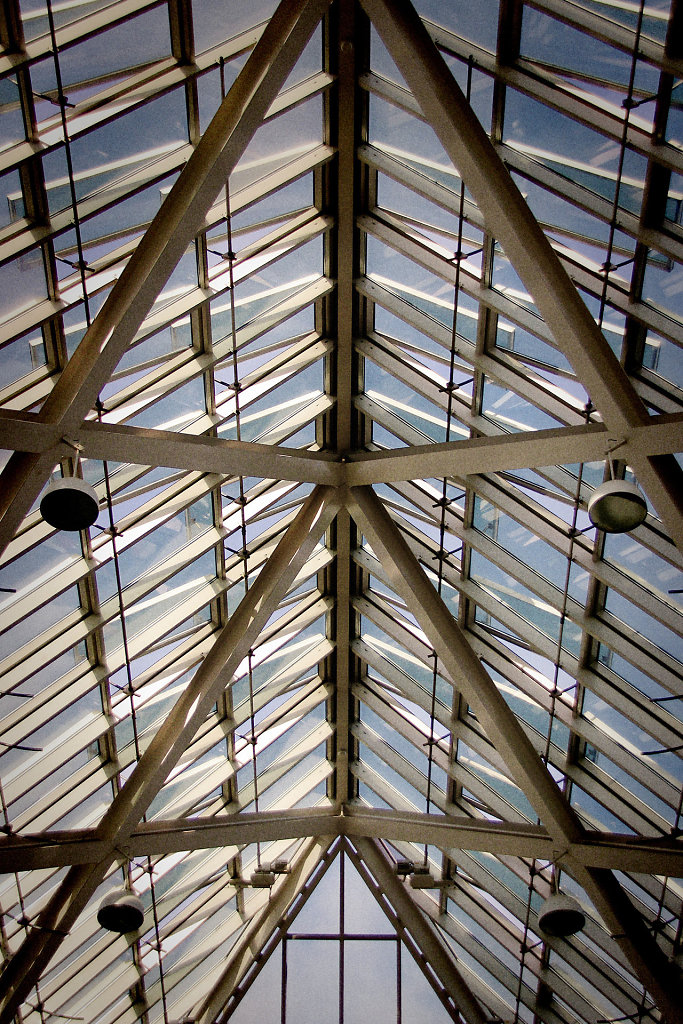 IMG-6366.jpg