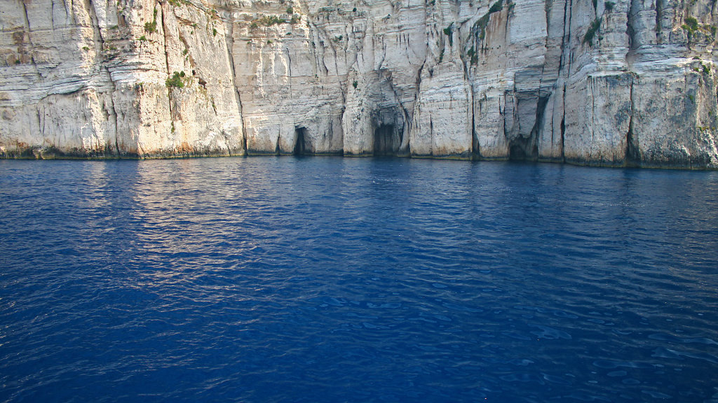 IMG-7230.jpg