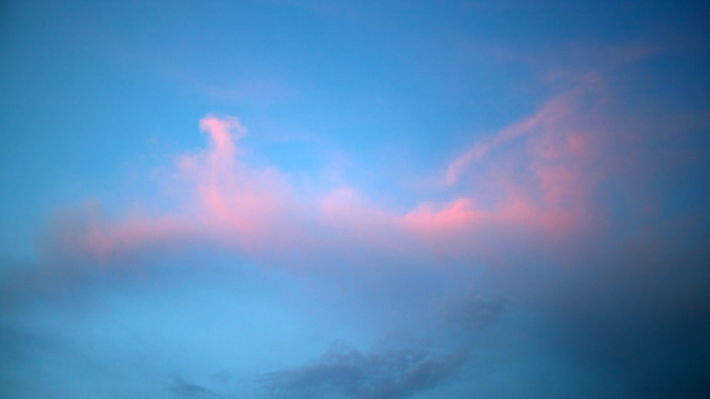 IMG-7351.jpg