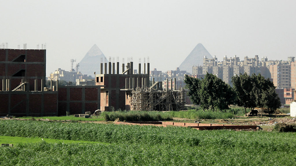 IMG-8753.jpg