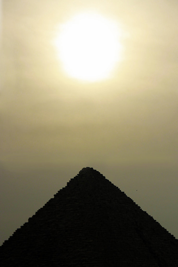 IMG-8857.jpg