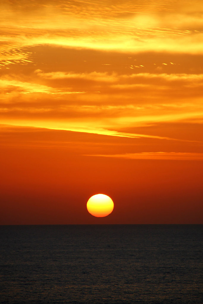 IMG-8958.jpg
