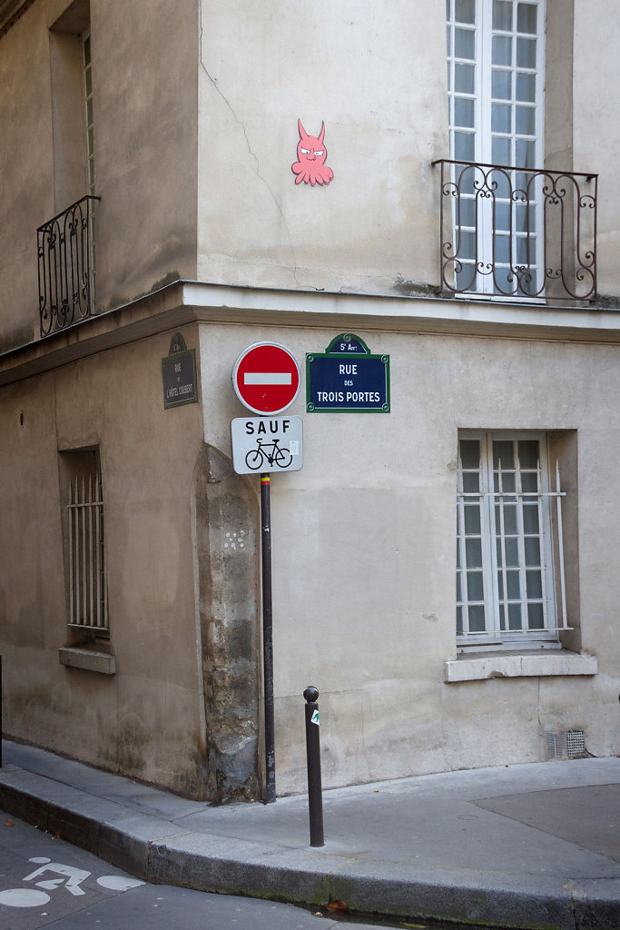 IMG-8007.jpg