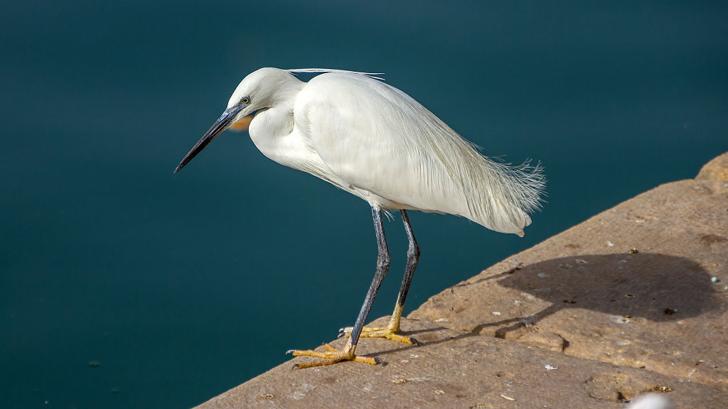 Escalera de la Reina