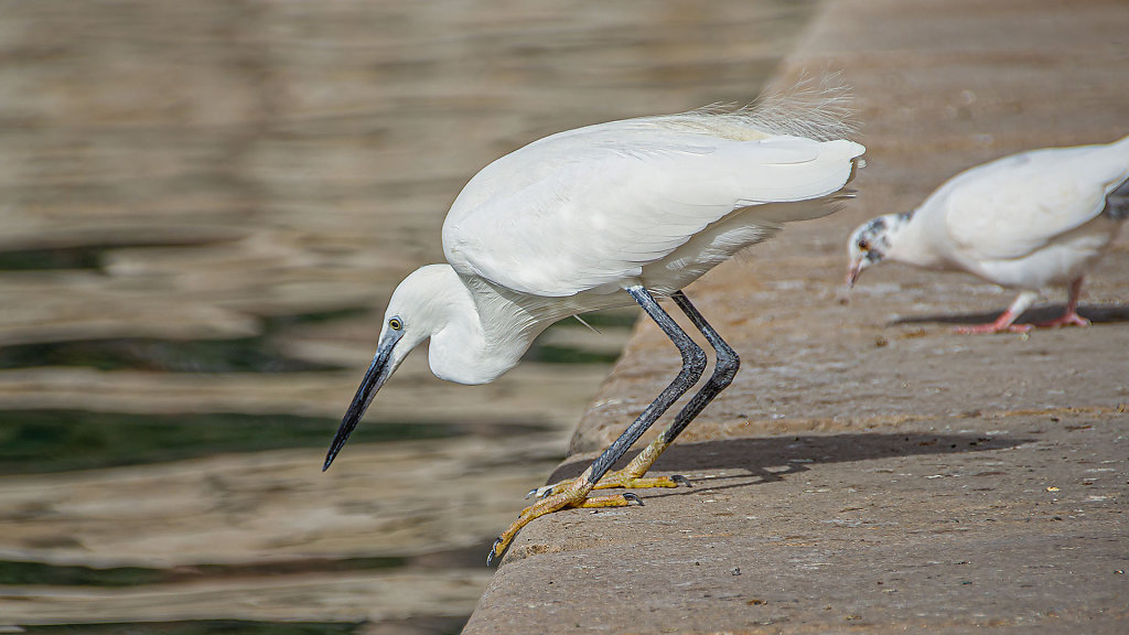 Escalera de la Reina