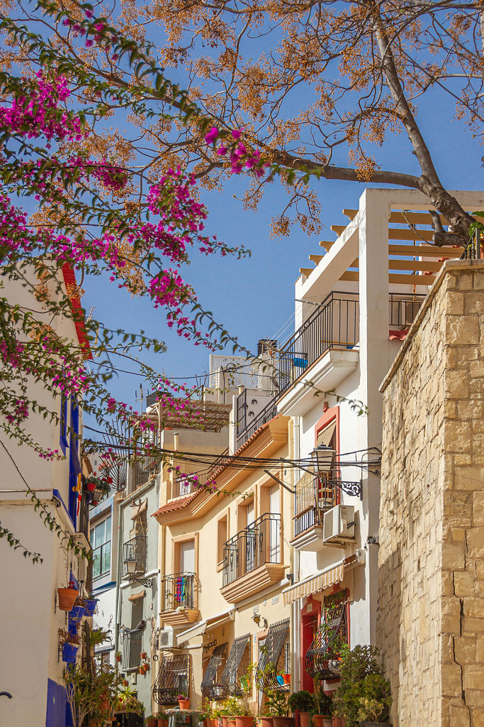 Barrio de Santa Cruz Alicante