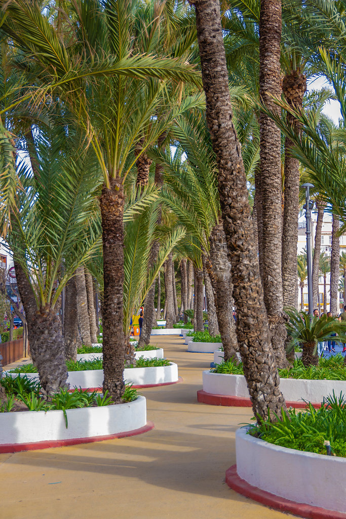 Parc d'Elx