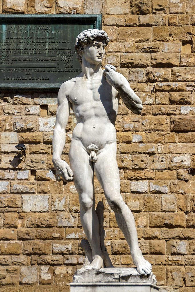 Statua del David
