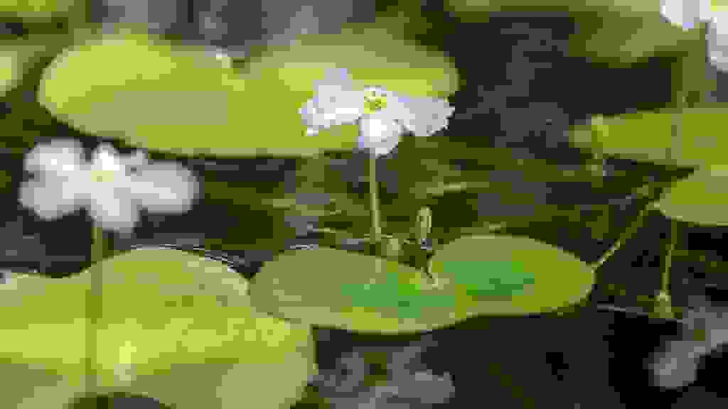20200905133911-BSL-0114.jpg