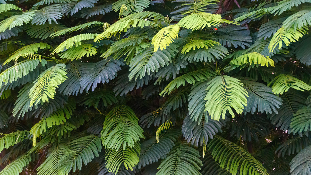 20200930185106-5FV-3528.jpg