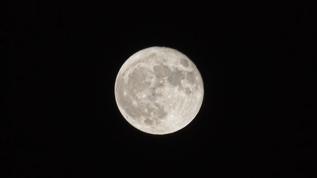 20201002200710-MLA-1017.jpg