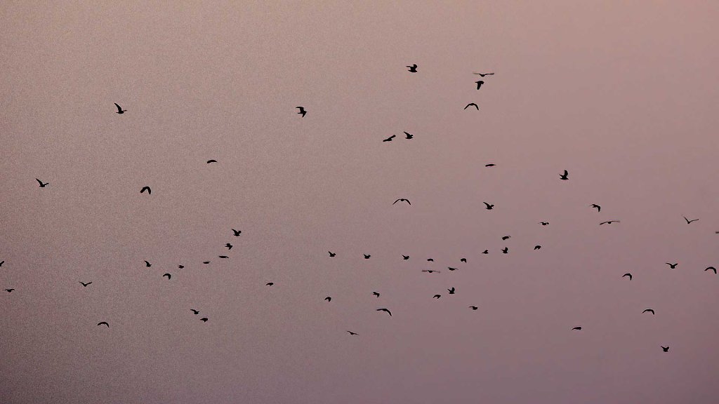 20111023182059-IMG-7687.jpg