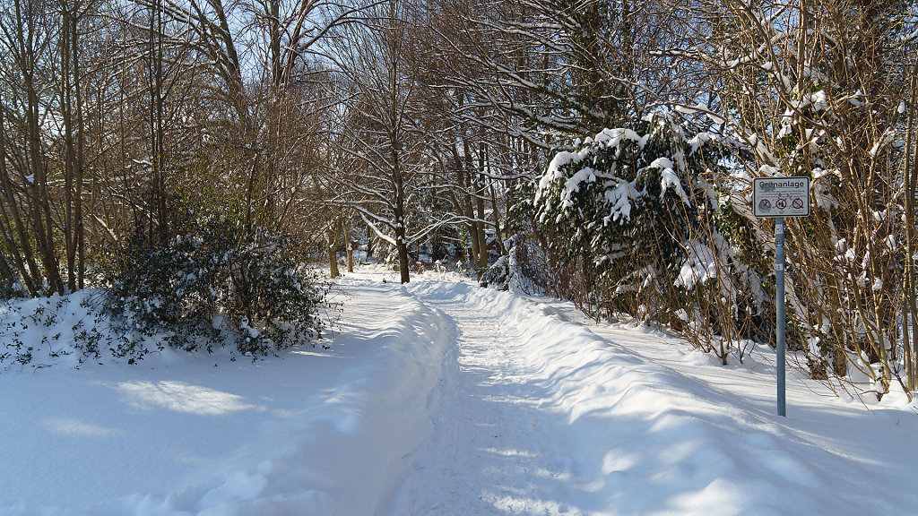 20210212132812-DSC01402.jpg