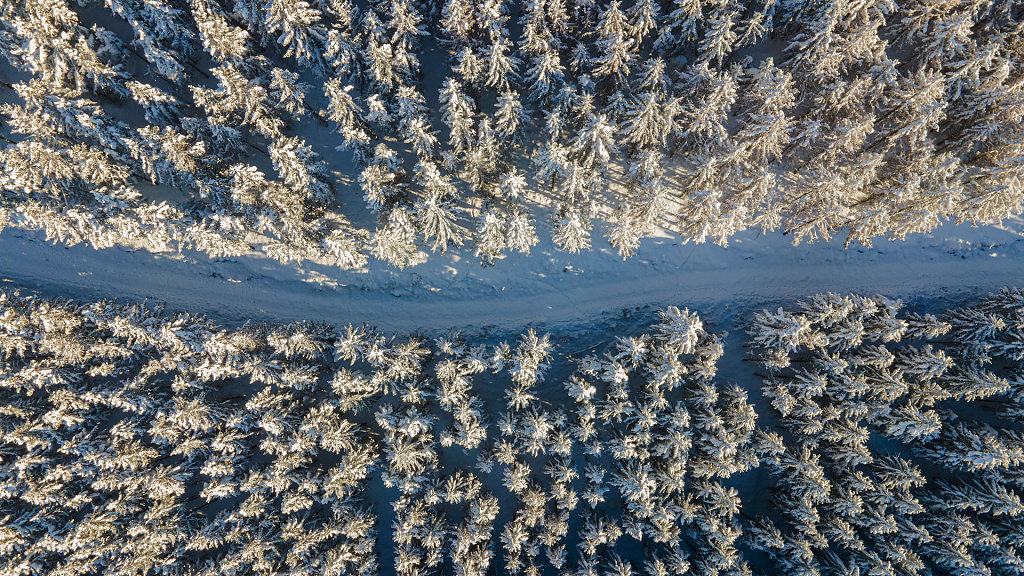 11.02.2021: Harz / Schnee