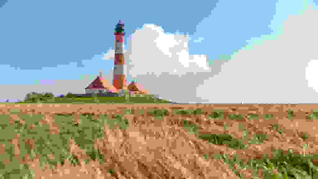 20210417150016-5FV-4719.jpg