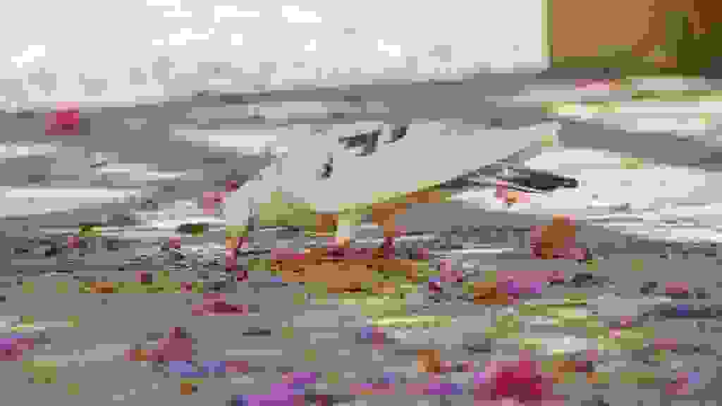20210608171504-ALC-0079.jpg
