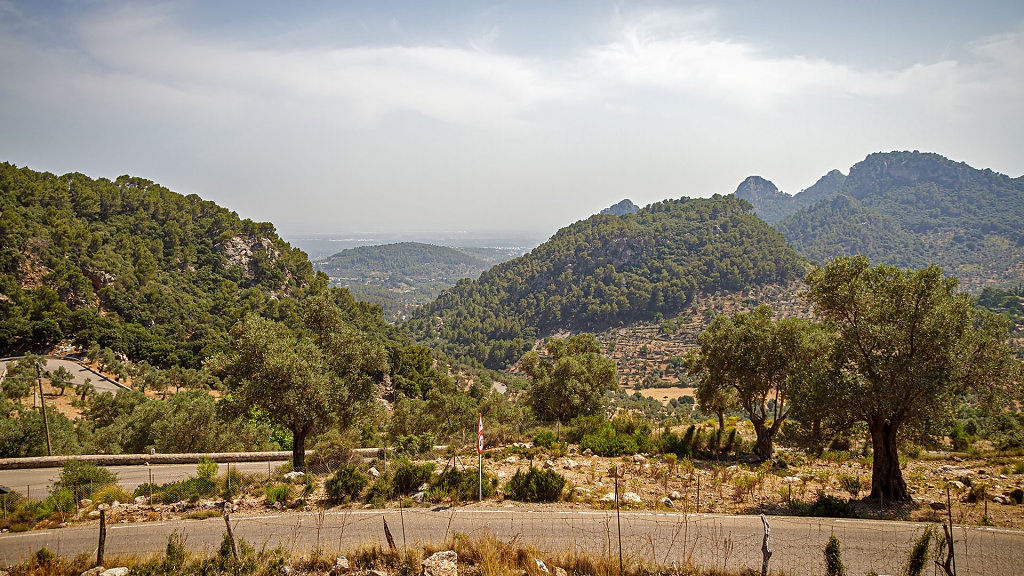 Coll de Sóller