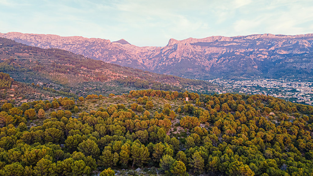 20210730205322-DJI-0054-HDR.jpg