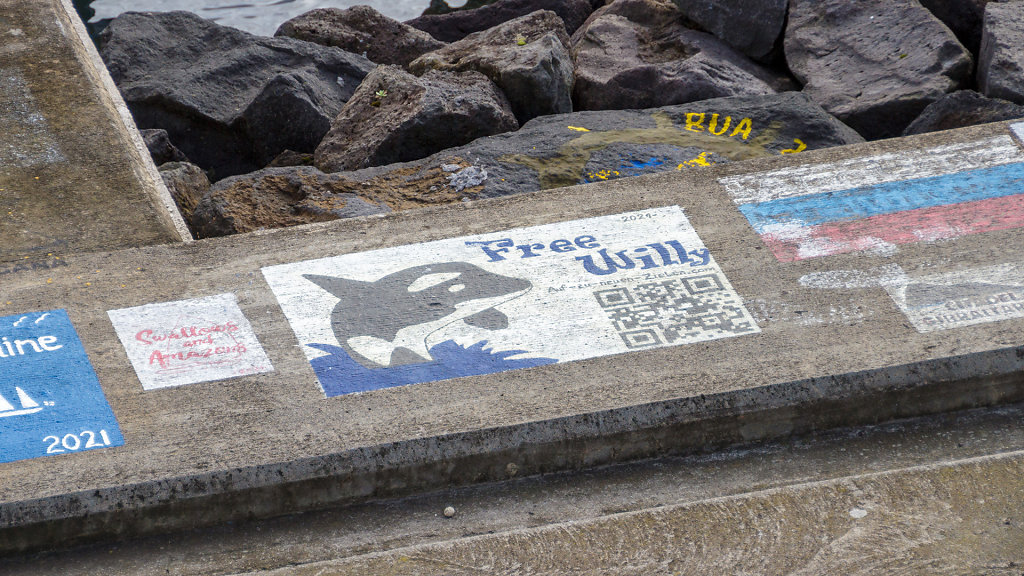 Marina de Ponta Delgada
