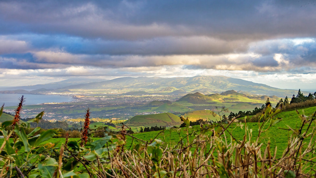20220126-171410-PDL-0503-HDR.jpg