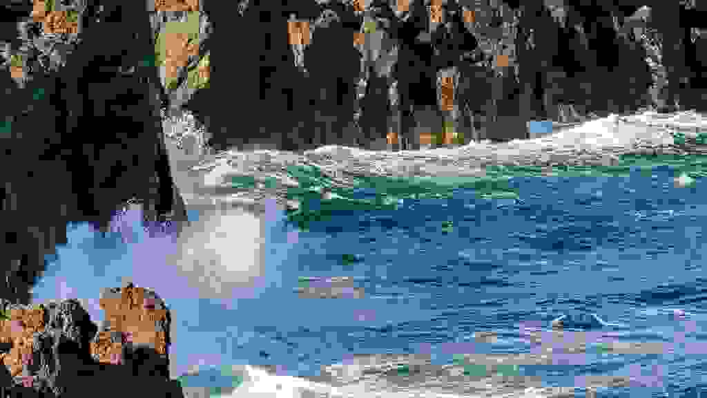20220127-112042-5FV-8542.jpg