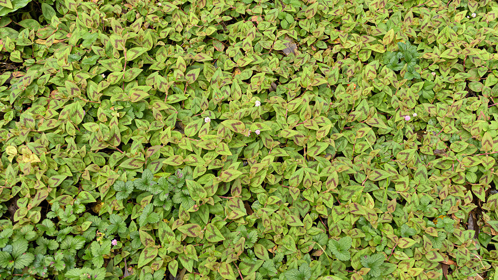 20220127-132721-5FV-8621.jpg