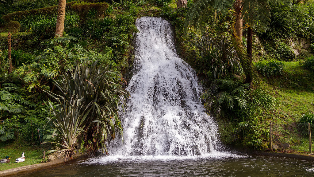 Jardim Botânico da Ribeira do Guilherme