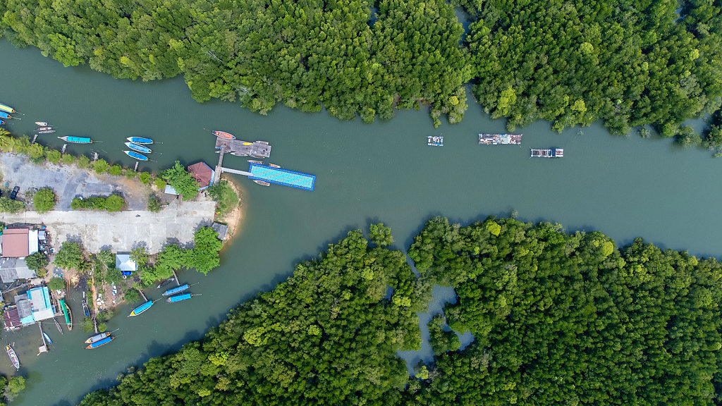 20220306-141610-DJI-0286-HDR.jpg