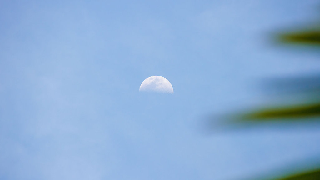 20220310-161240-THA-0933.jpg