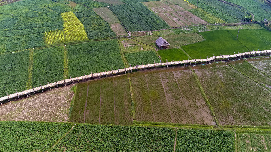 20220315-144430-DJI-0602-HDR.jpg