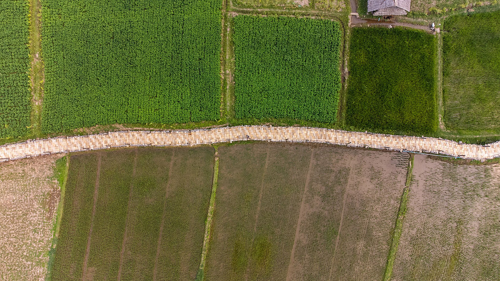20220315-144455-DJI-0605-HDR.jpg