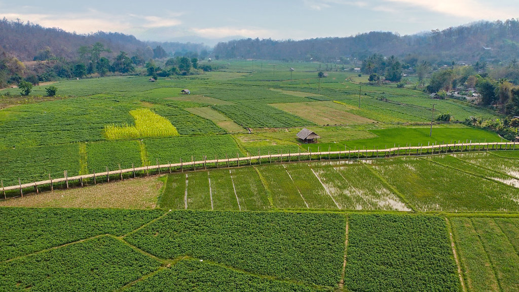 20220315-144542-DJI-0608-2.jpg
