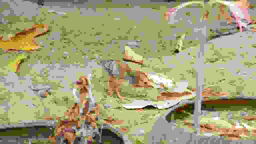 20220316-135723-THA-1817.jpg