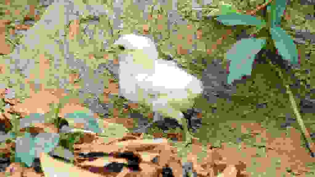 20220316-140221-THA-1822.jpg