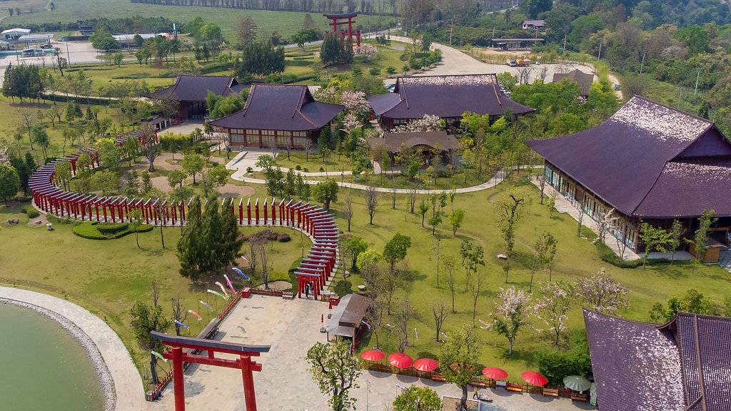 20220320-133531-DJI-0972-HDR.jpg