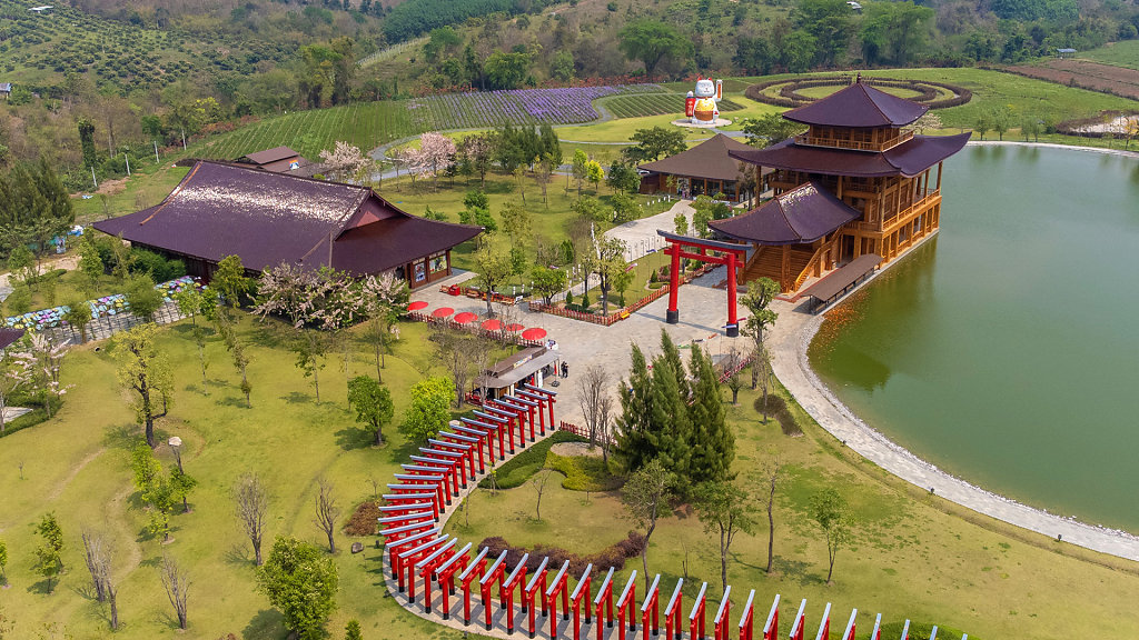 20220320-133608-DJI-0975-HDR.jpg