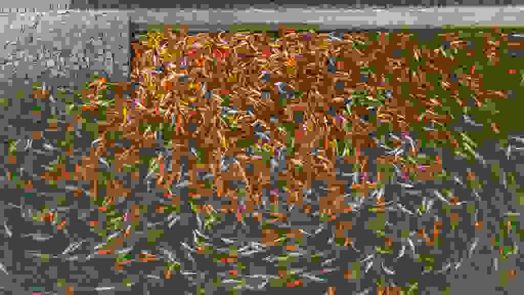 20220320-134018-DJI-0992.jpg