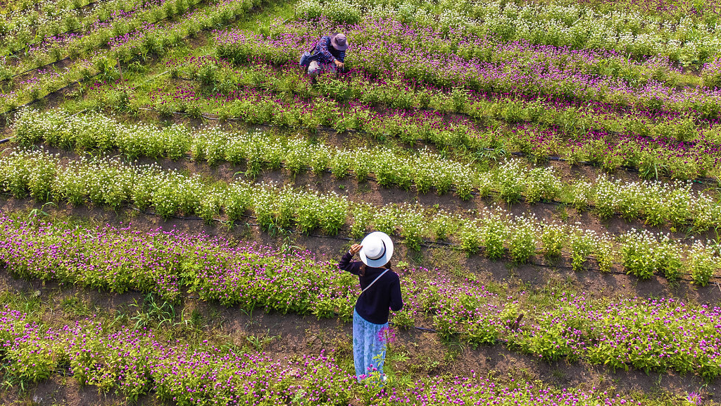 20220320-134232-DJI-0010-HDR.jpg