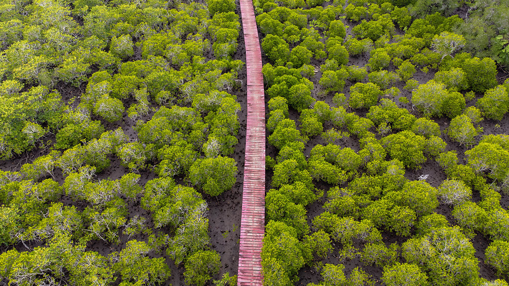 20220401-170933-DJI-0680-HDR.jpg