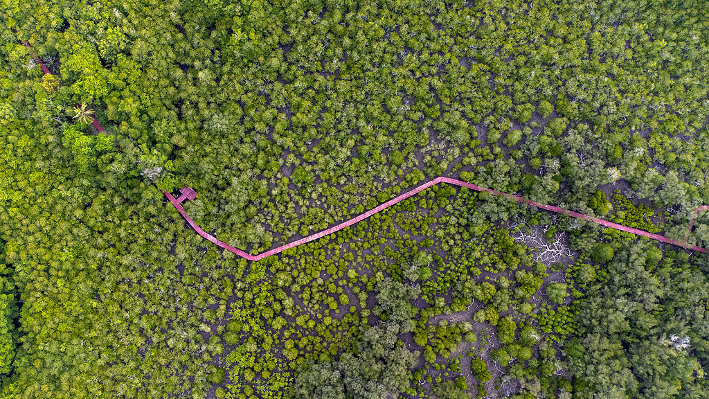 20220401-171052-DJI-0689-HDR.jpg