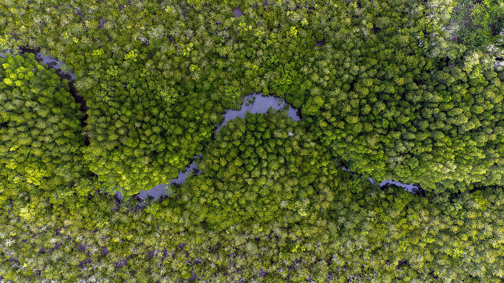 20220401-171159-DJI-0695-HDR.jpg