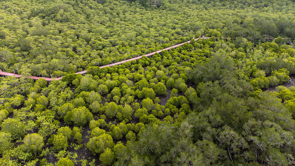 20220401-171244-DJI-0698-HDR.jpg