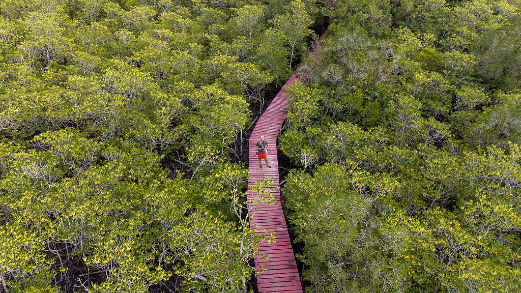 20220401-171316-DJI-0701-HDR.jpg