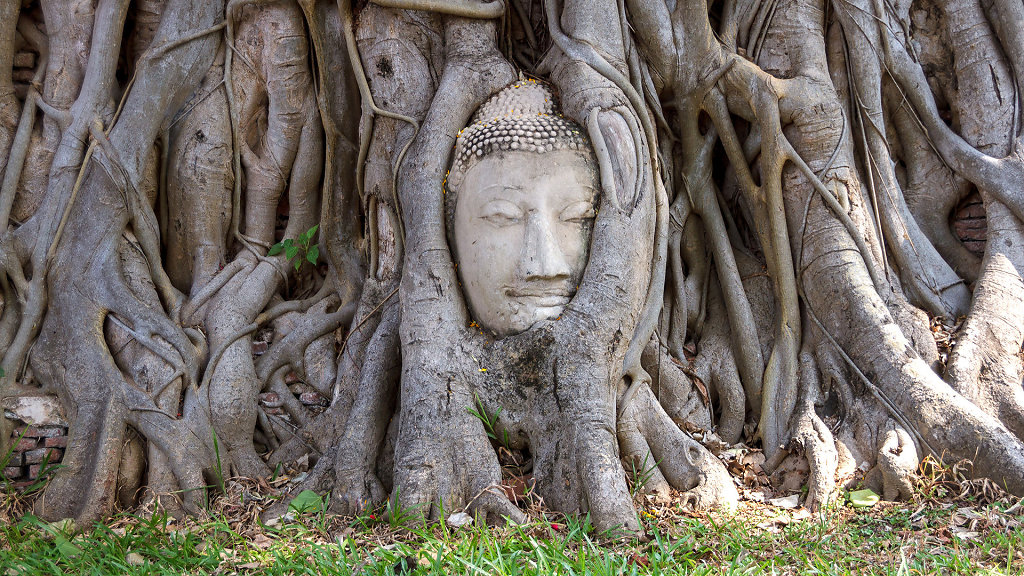 15.04. - 16.04. Ayutthaya