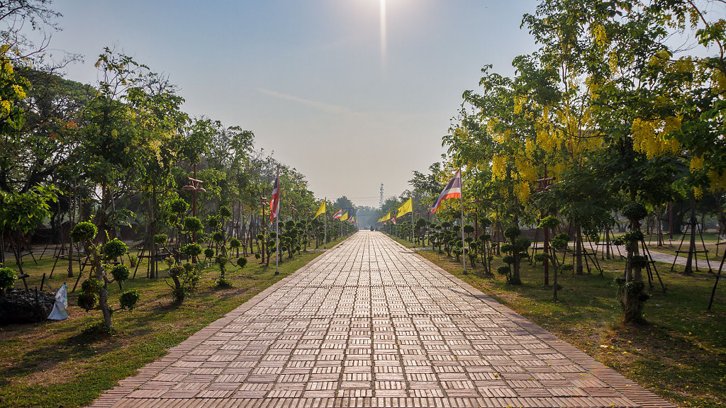 20220416-074231-THA-6087-HDR.jpg