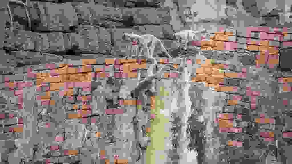 20220417-160927-THA-6471.jpg