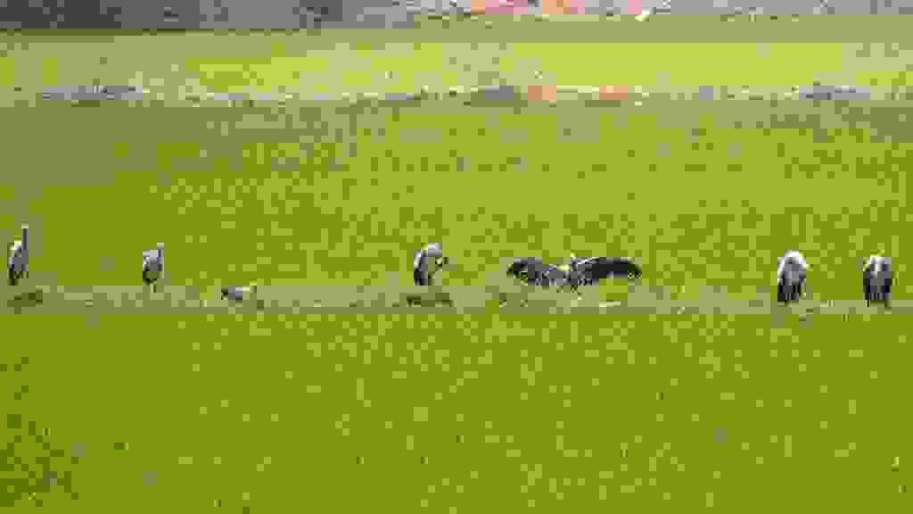 20220418-101938-THA-6635.jpg